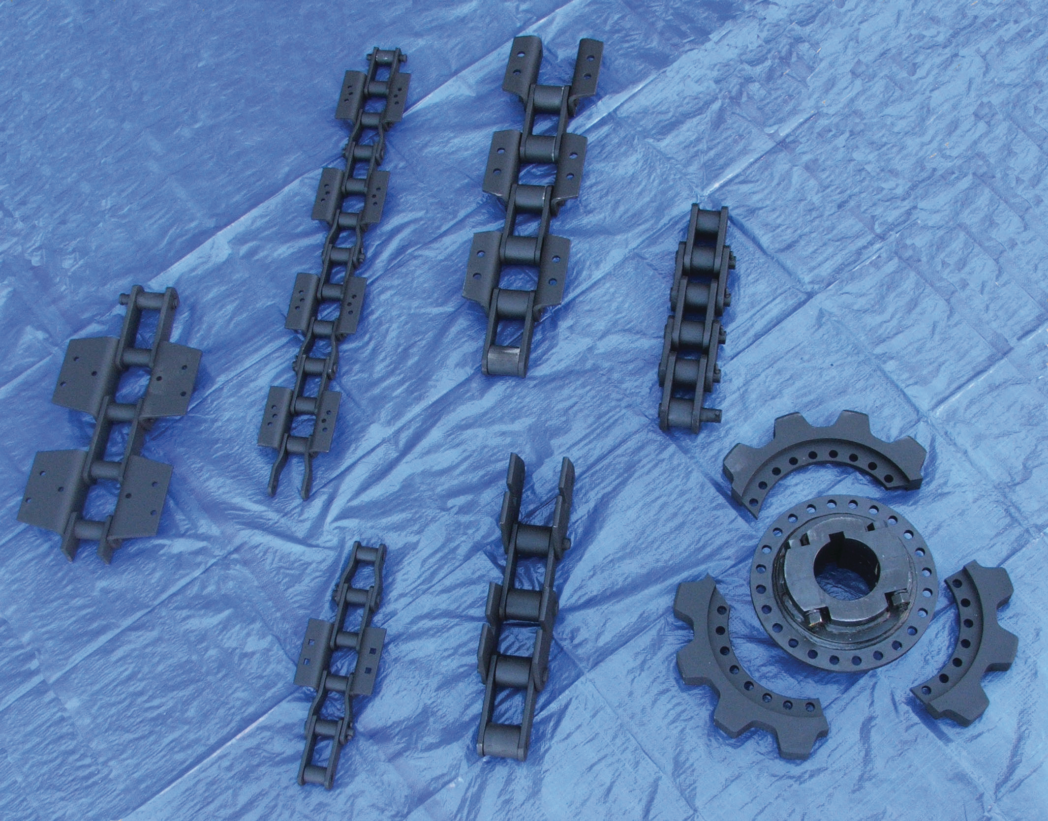 Plantchains 10086286