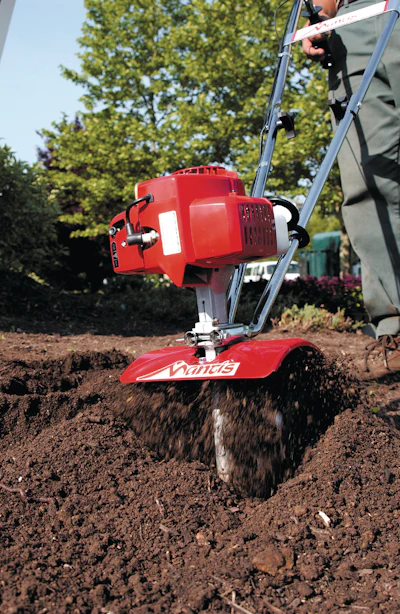 Tillers 10080548