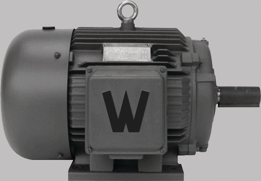 Motors 10081445