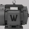 Motors 10081445