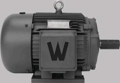 Motors 10081445