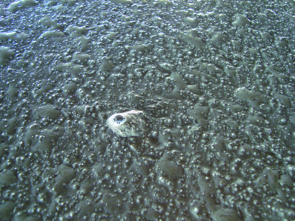 Avoid Surface Defects on Interior Slabs