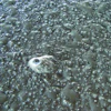 Avoid Surface Defects on Interior Slabs
