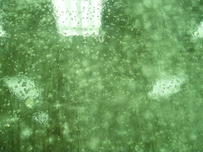 Bubbles can form in a sealer when it is applied too thick; it is recommended to apply sealer in two thin layers.
