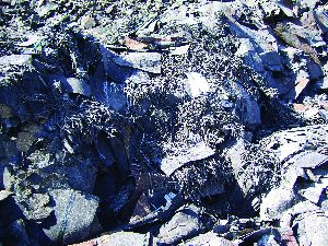 Shingles before processing.