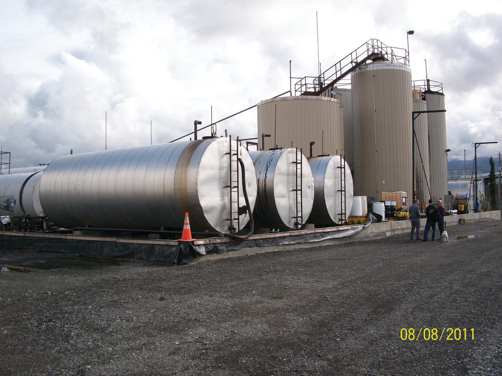 Plant Omi Denali 100 1567 10622011