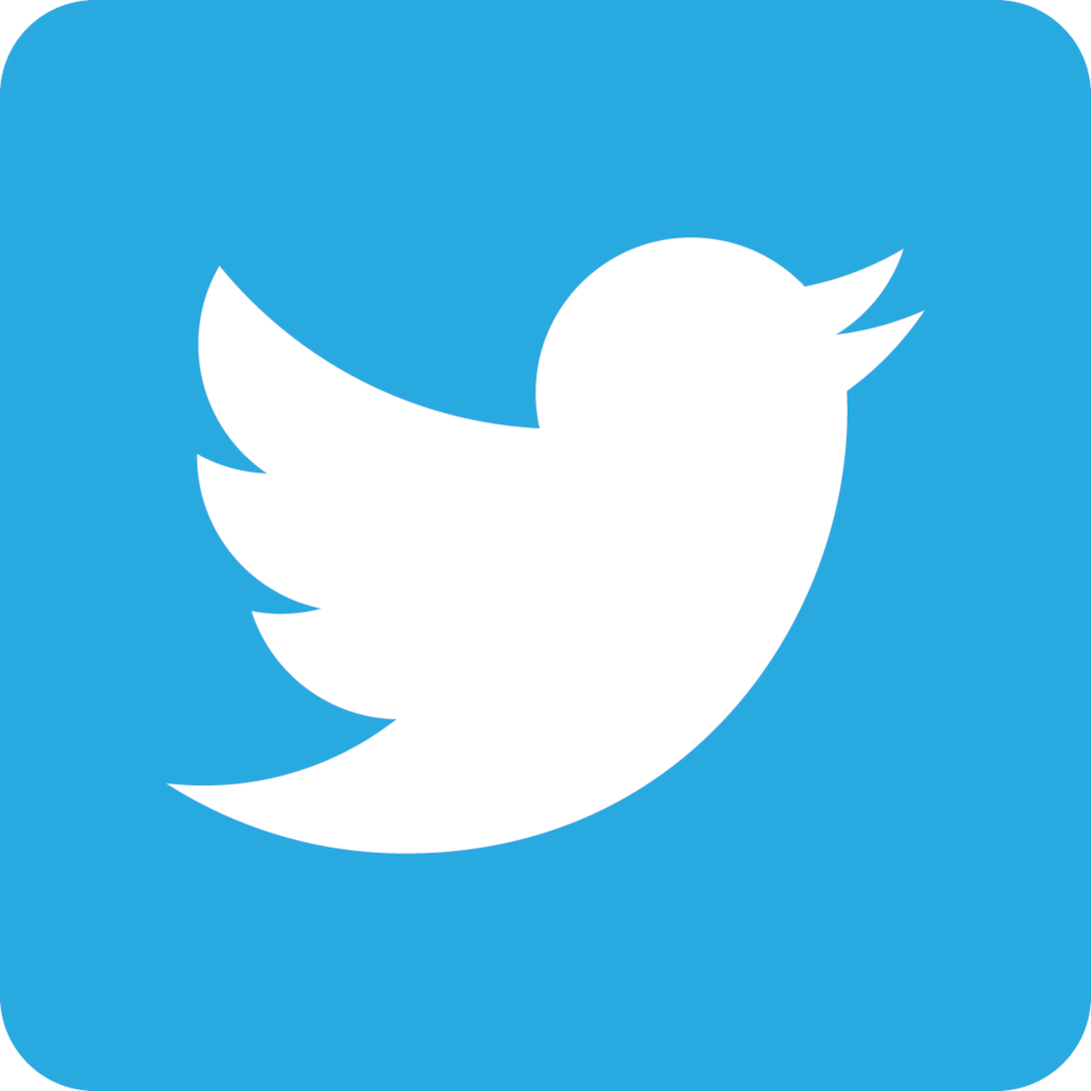 Twitter Bird White On Blue 10772071