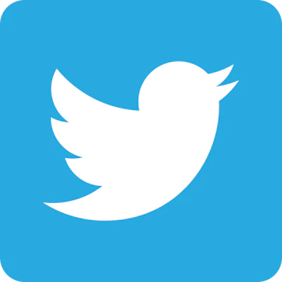 Twitter Bird White On Blue 10772071