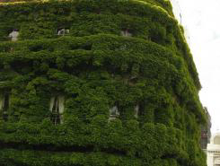 Green Building 0