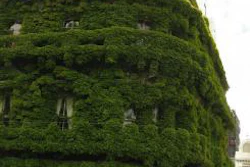 Green Building 0