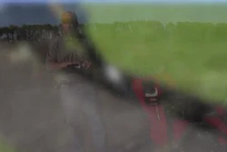 1660628632 10880290