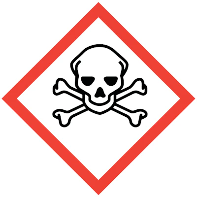 Skull and Crossbones