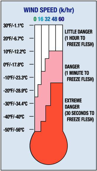 Frostbite Thermometer 11268514