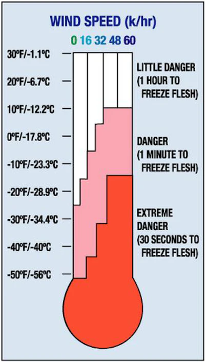 Frostbite Thermometer 11268514