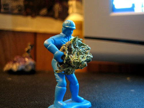 Construction Marijuana