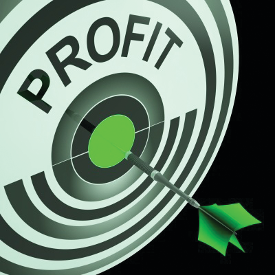 Profit-Driven construction company owners and managers focus on profitable projects, customers, and services. These give you a high return on your assets, time and energy.