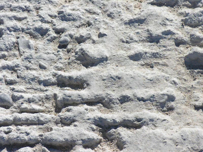 Figure 3: Photograph of a crusted pavement that was placed in summer.
