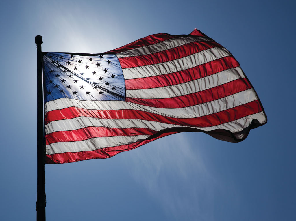 Us Flag Backlit 11476698