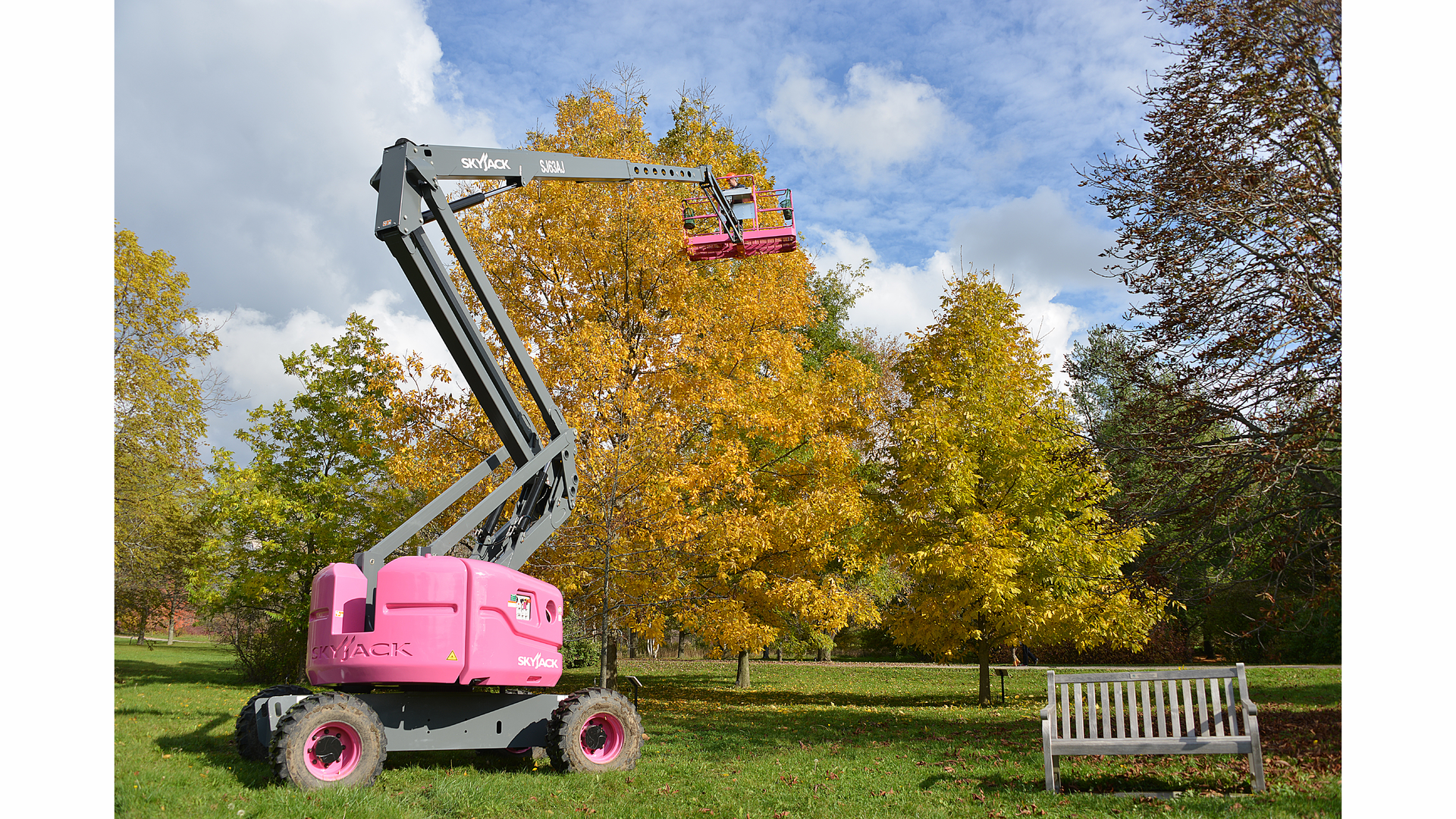 The SkyJack SJ 63AJ boom lift was used to collect seeds from the Cucumber tree, Big Shelbark Hickory, Chinquapin Oak, Kentucky Coffee Tree, Tulip Tree and the Sycamore.