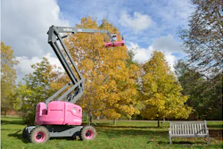 The SkyJack SJ 63AJ boom lift was used to collect seeds from the Cucumber tree, Big Shelbark Hickory, Chinquapin Oak, Kentucky Coffee Tree, Tulip Tree and the Sycamore.