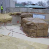 A 175,000 gallon tank for the seals is part of the new exhibit at the Henry Villas Zoo. Contractors used No. 3 rebar and wire mesh to create the structures. The Nassal Company has been subcontracted to perform the theming work.