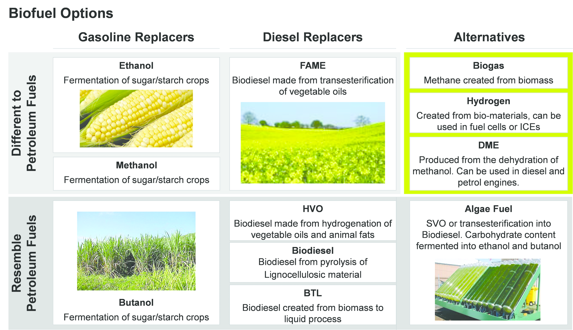 The infographic highlights the different types of biofuels and the materials from which they're derived. Source: Ricardo Strategic Consulting