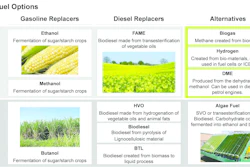 The infographic highlights the different types of biofuels and the materials from which they're derived. Source: Ricardo Strategic Consulting