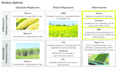 The infographic highlights the different types of biofuels and the materials from which they're derived. Source: Ricardo Strategic Consulting