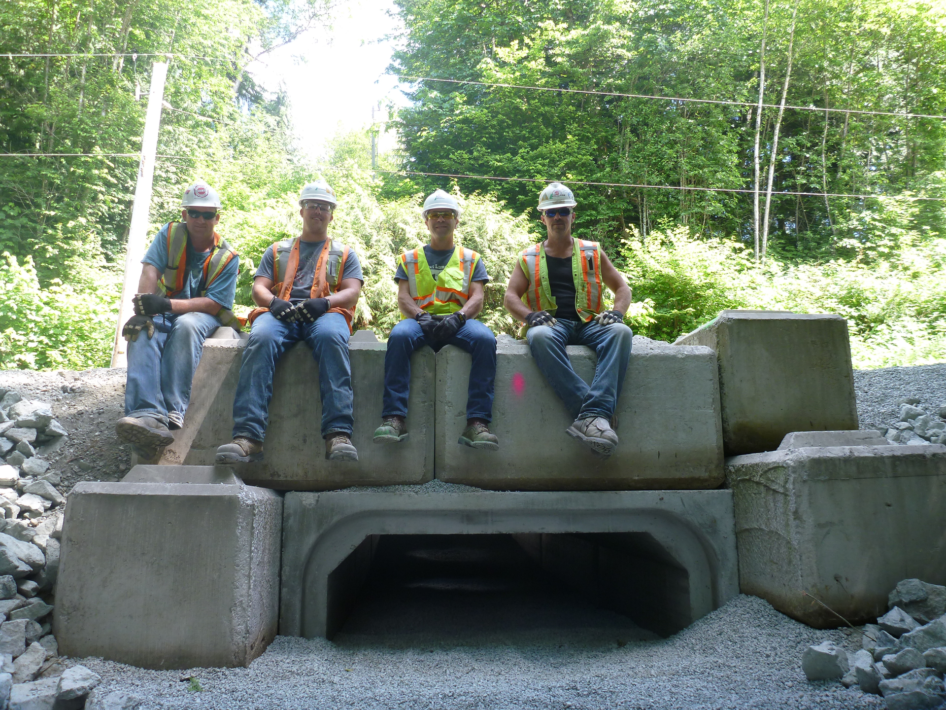 Lafarge Volunteers Atop Amphibian Tunnel 55ccb89027d1a