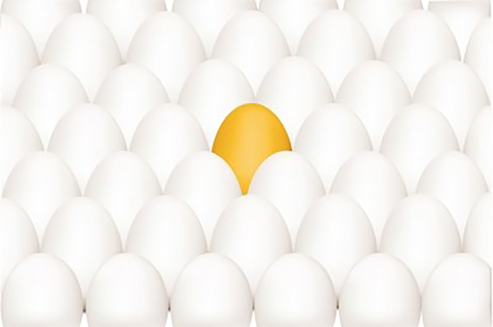 When prices are about the same, customers make decisions on who to hire based on things that set them apart like the extra things the company offers to do for them.