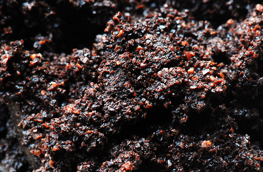 3033742 inline i 1 bio bean turns waste coffee grounds into fuel to power london 573c932af2d62