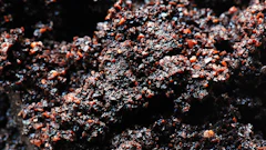 3033742 inline i 1 bio bean turns waste coffee grounds into fuel to power london 573c932af2d62