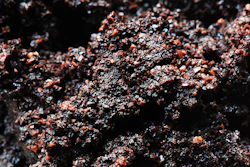 3033742 inline i 1 bio bean turns waste coffee grounds into fuel to power london 573c932af2d62