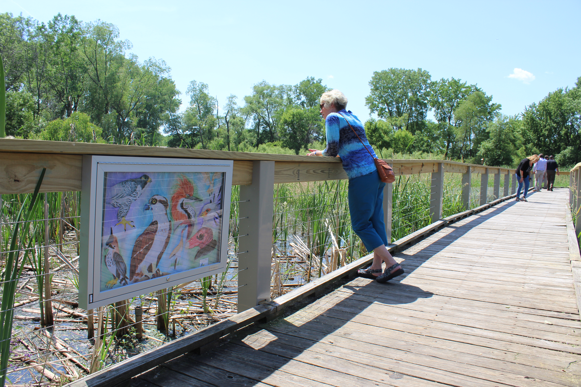 The highlight of the Brietzke Educational Wetland refurbishment is the storybook walk, which is essentially a story that is told along a pathway on a trail or in a park. The storybook walk became a reality thanks to an art sponsorship by AC Business Media.
