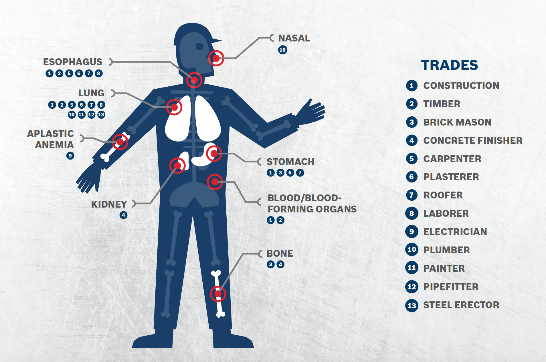 Prolonged exposure to dust has been linked to several types of cancer. Workers in different trades face increased risks of specific illnesses.