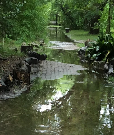 12638558 The Nature Discovery Centers Old Paver Path Flooded During Rains 5914692ca68cb