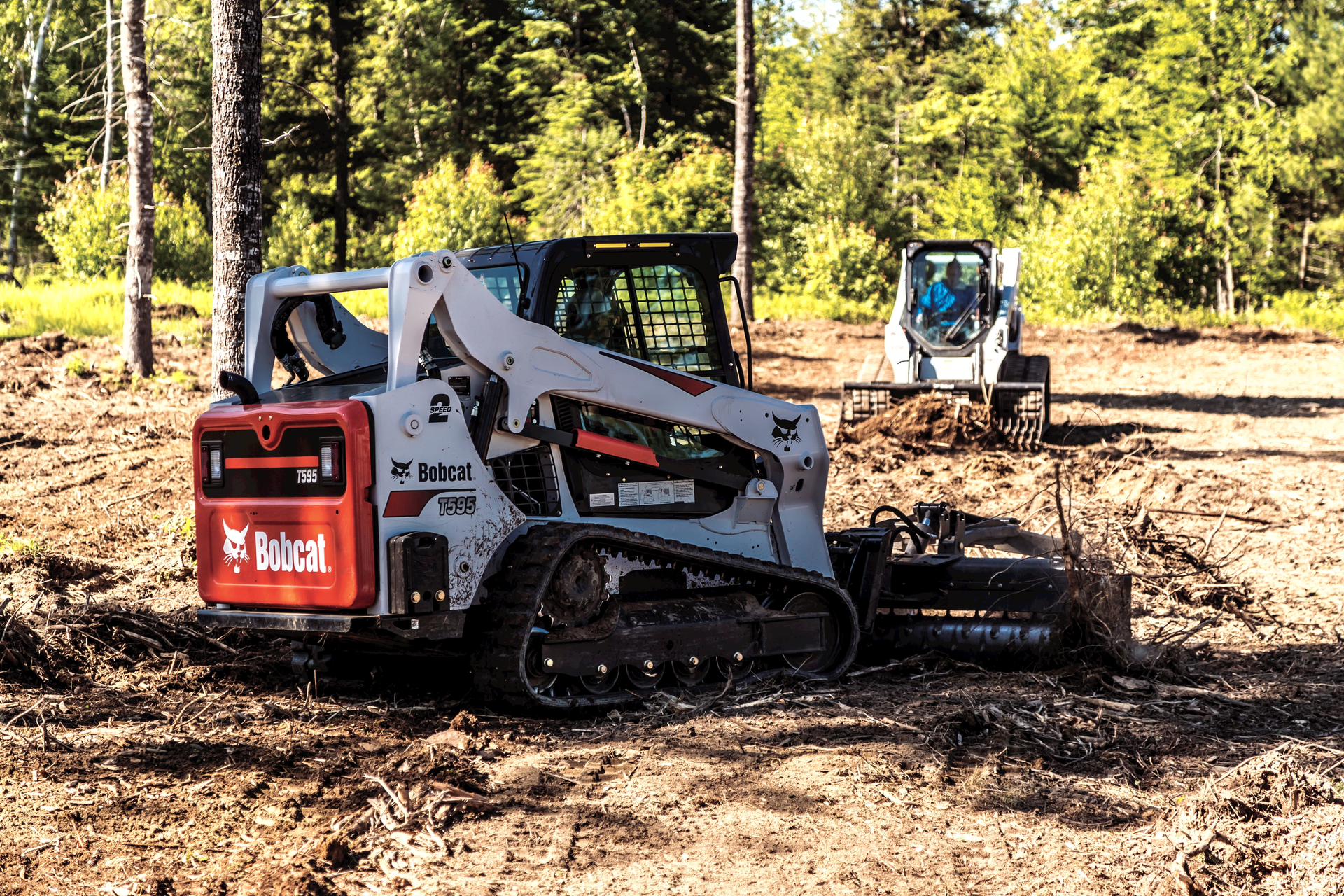 Bobcat Czs1