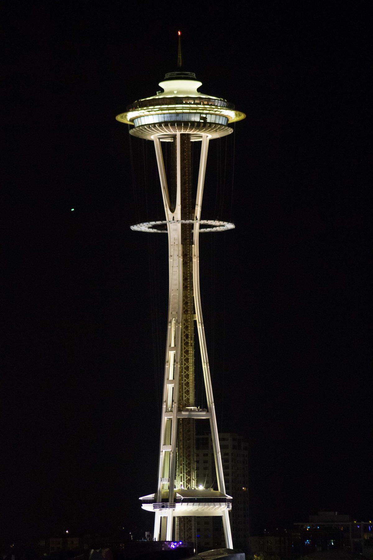 Needle