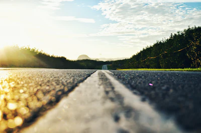 Pexels Photo 561201