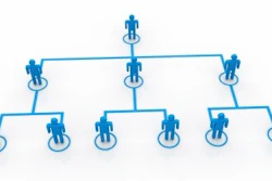 Organization Chart Free Digital Photos