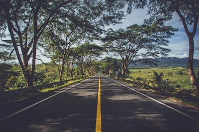 Asphalt Environment Grass 239520