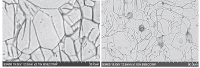 Figure 1: SEM micrographs of polished section of alite sample exposed to portlandite solution for 1 hour from Juilland and Gallucci [8] Grain boundaries becomes visible as they are preferential sites for dissolution etching.