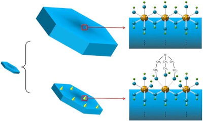 Figure 13: Schematic drawing from Rong et al. [56] showing the adsorption of TEA on CH surface