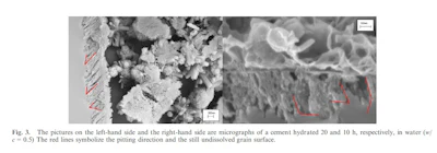 Figure 4: Cryo SEM micrographs on a section of cement grain hydrated for 20 hours from Nicoleau and Bertolim [9]. The etch pitting orientation is indicated by red lines. Pitting direction appears to be dependent on the crystal planes of the alite.