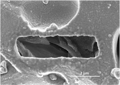 Figure 6a