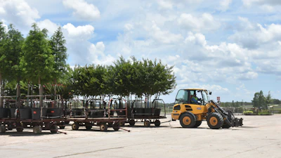 The Volvo L20s are used to pull trailers loaded with containerized trees or plant material - sometimes up to six trailers at a time.