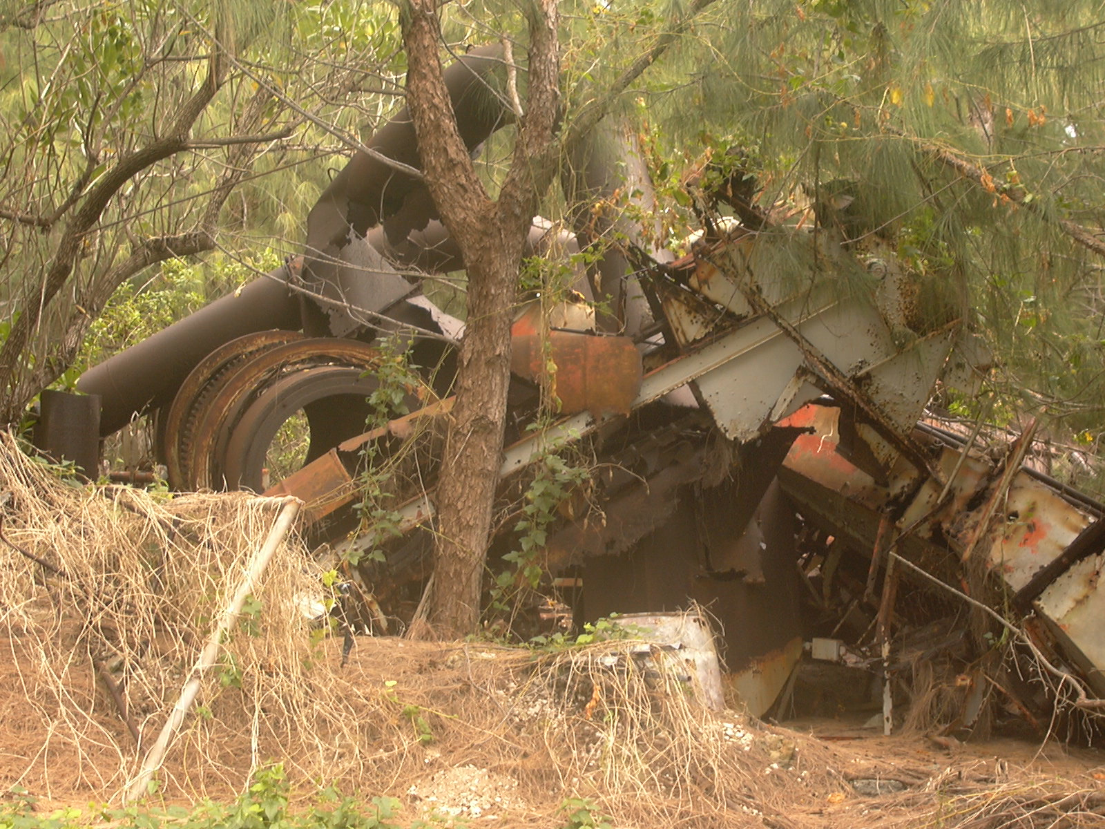 I can fix most things and get it running, but this TM 40 Stansteel on Wake Island was a bit too far gone.... I was out there for International Bridge. The owner, Bill Toelkes was a bit of a comedian, I learned. On the way out to this plant he told me we needed to be running in two weeks. I assured him I would do my best. Imagine my surprise when we drove up to this thing.....