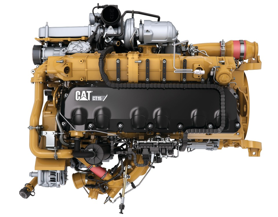 Ct15