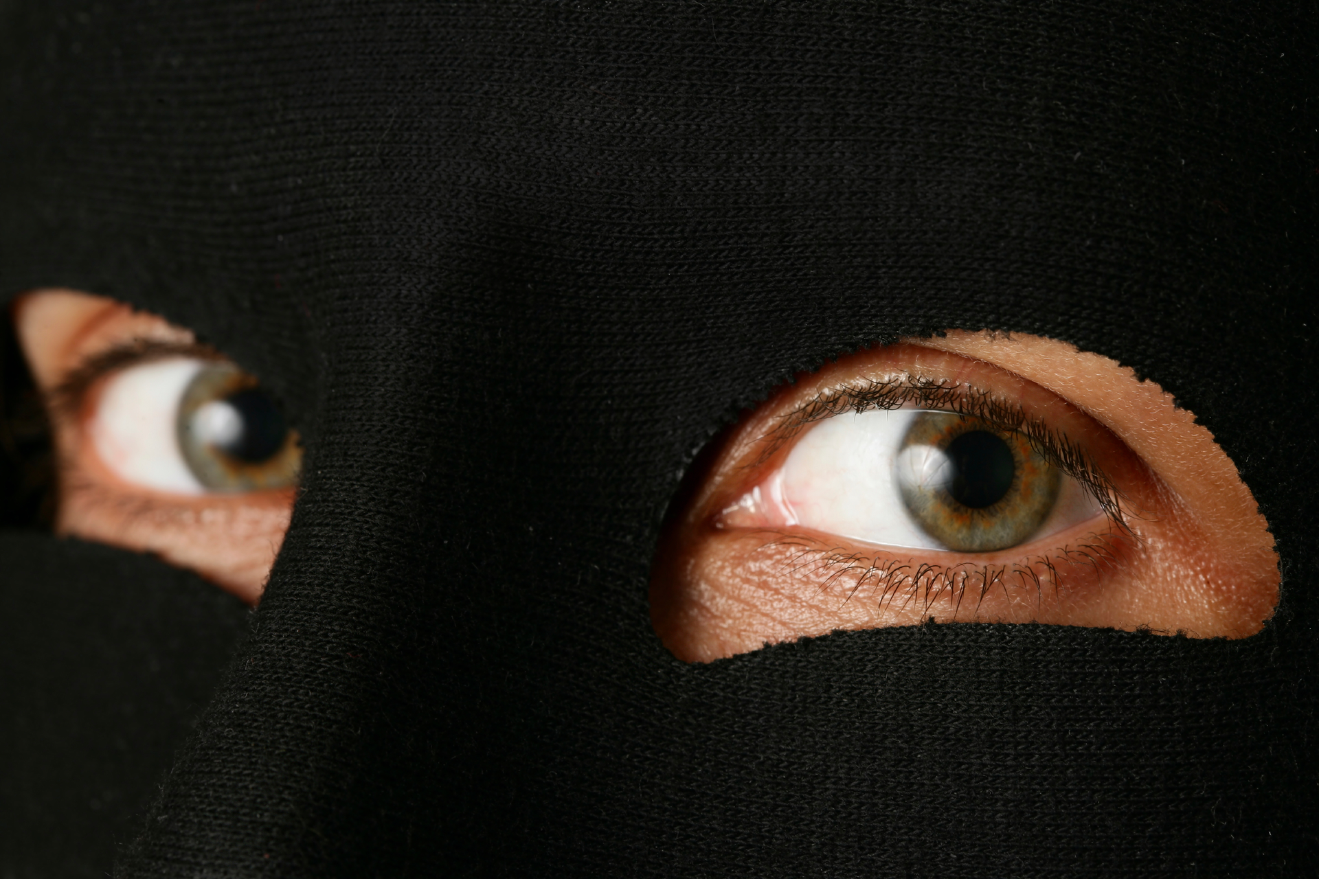 Thief Istock Downloads