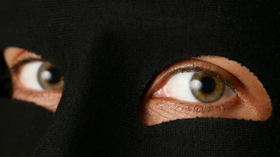 Thief Istock Downloads